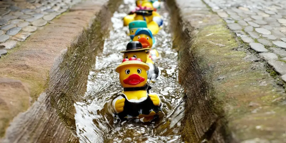 8 særlige vinterbadesteder i Danmark til ham