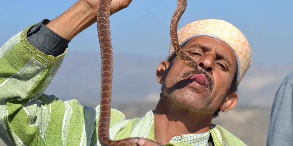 Hvilken rulletræner til Zwift passer bedst til ham?