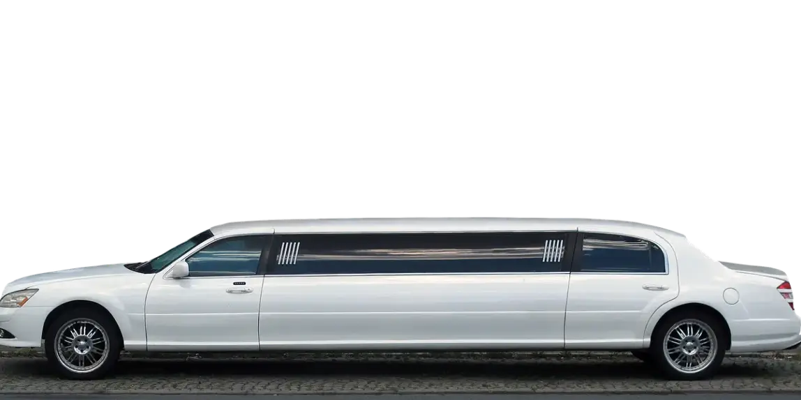 Hvilket langt skohorn er bedst til en stiv ryg?