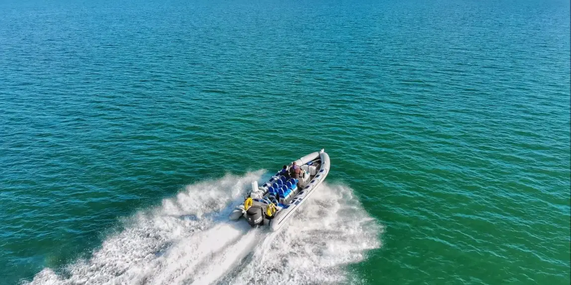 Planlæg en RIB-sejlads i Aarhus Bugt som gave til ham